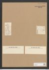 Stauroneis finmarchica Cl. et Grun. (de-Toni-Nr.: Genus 6, Species 922) Zeichnungen Sammlung Grunow Nr. 1780 (NHMW-BOT-W0368679)